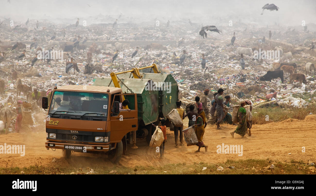 Rag pickers on a landfill site with Greater adjutant stork (Leptoptilos dubius) in the background, Guwahati, Assam  India, March Stock Photo
