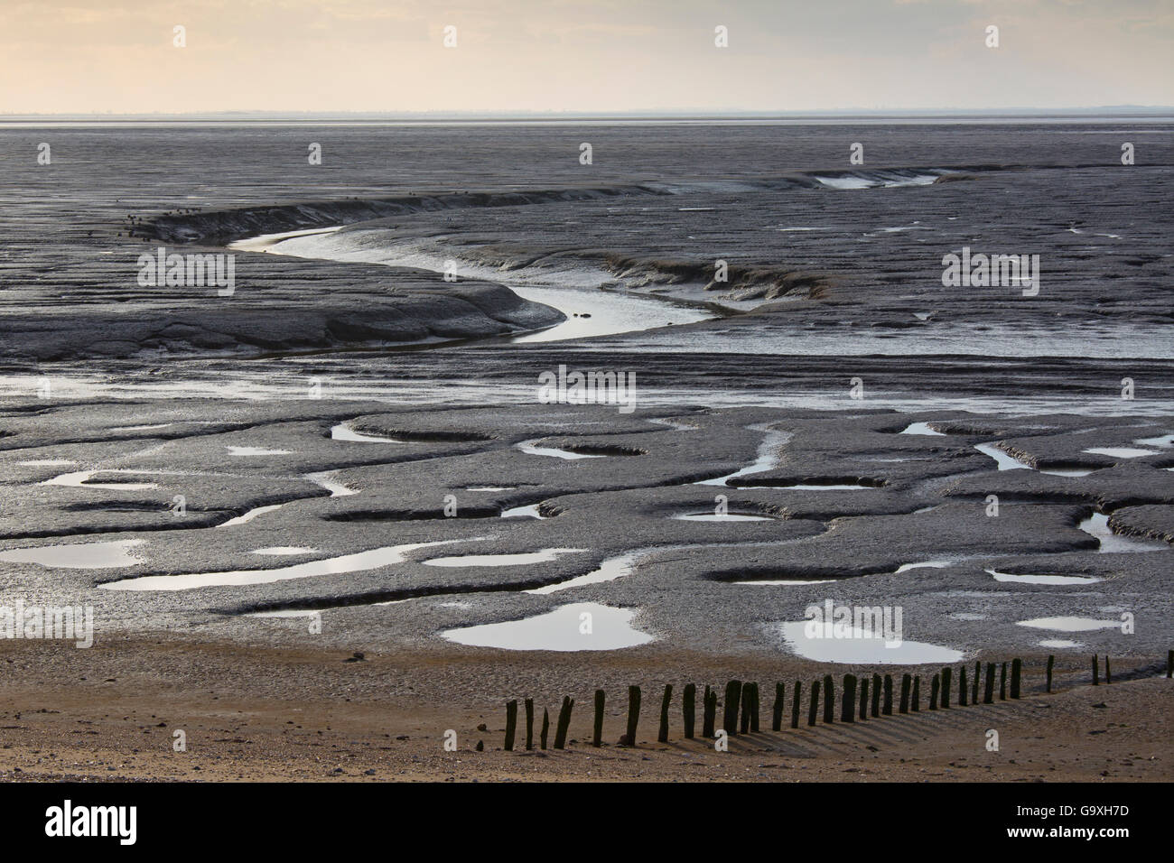 Low tide on the Wash, Snettisham, Norfolk, England, UK, February. Stock Photo