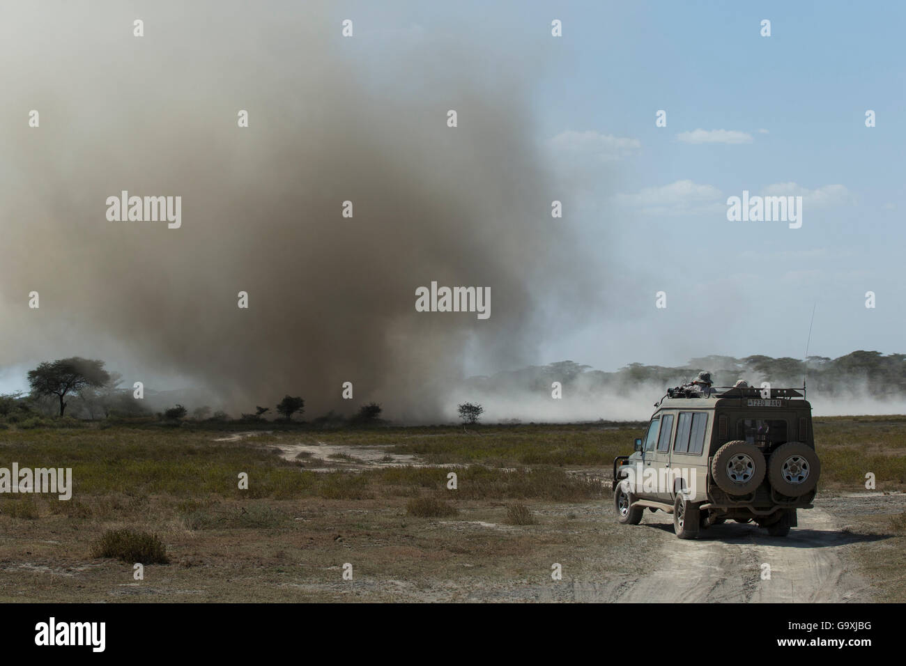 Massive dust devil rakes the dry shoreline of Lake Ndutu, Ngorongoro ...