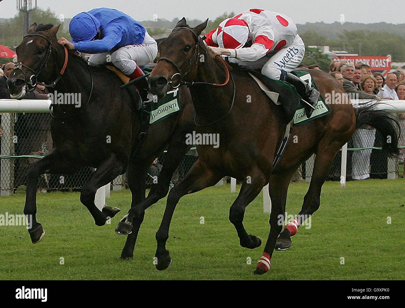 Horse Racing - Newbury Stock Photo