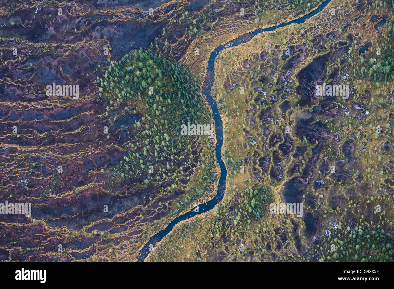 Aerial view of string bogs with Scots pine (Pinus sylvestris) forests, Muddus National Park. Laponia World Heritage Site, Laplan Stock Photo