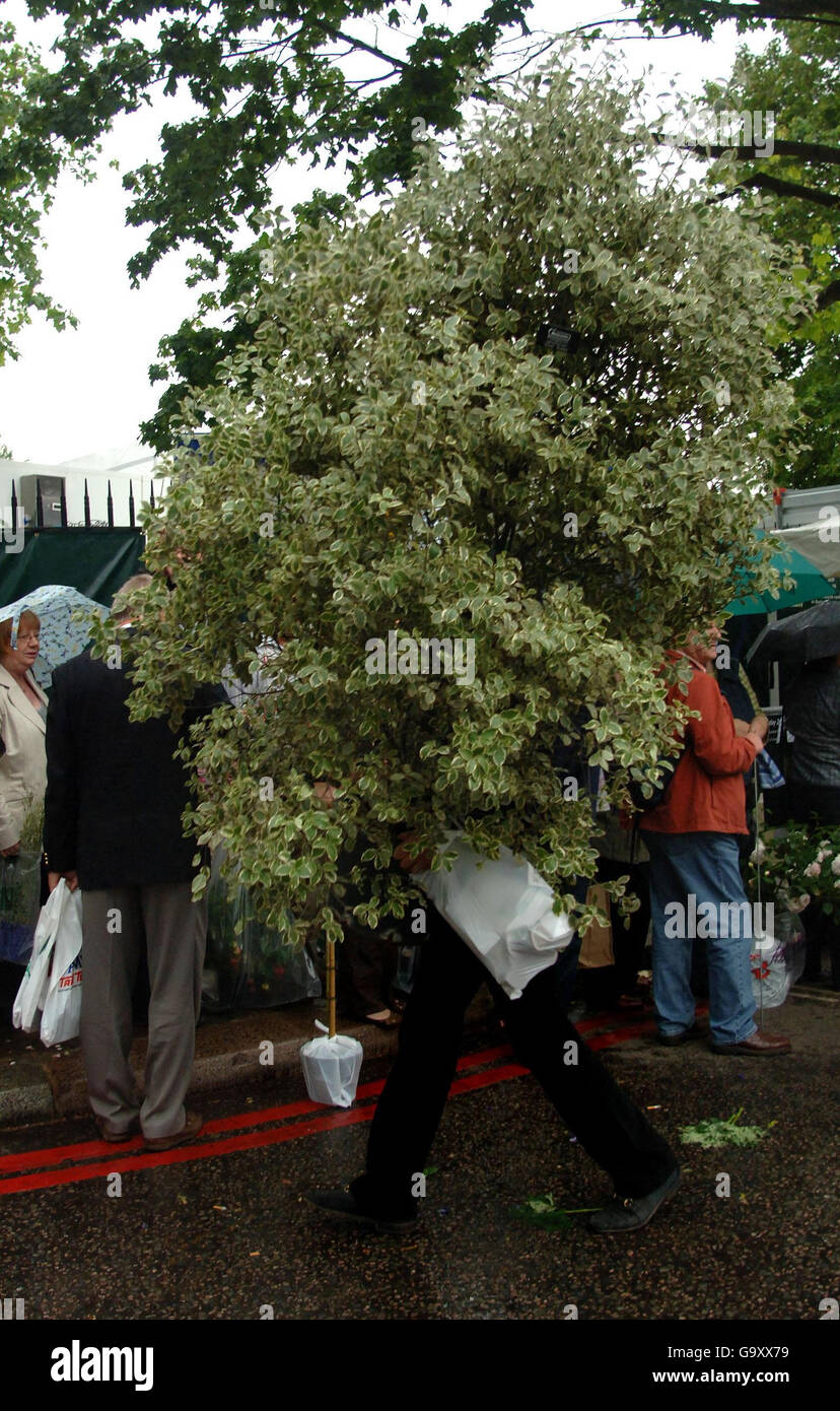 A garden enthusiast carries a small tree home after the last day of the Chelsea Flower Show, in Chelsea, London. Stock Photo