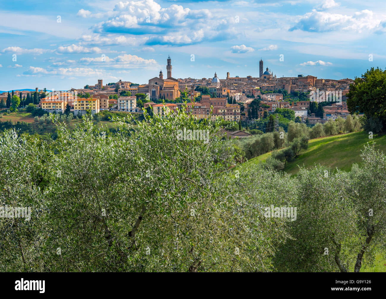 Cityscape with the Duomo and La Torre del Mangia, Siena, Tuscany, Italy, Europe Stock Photo