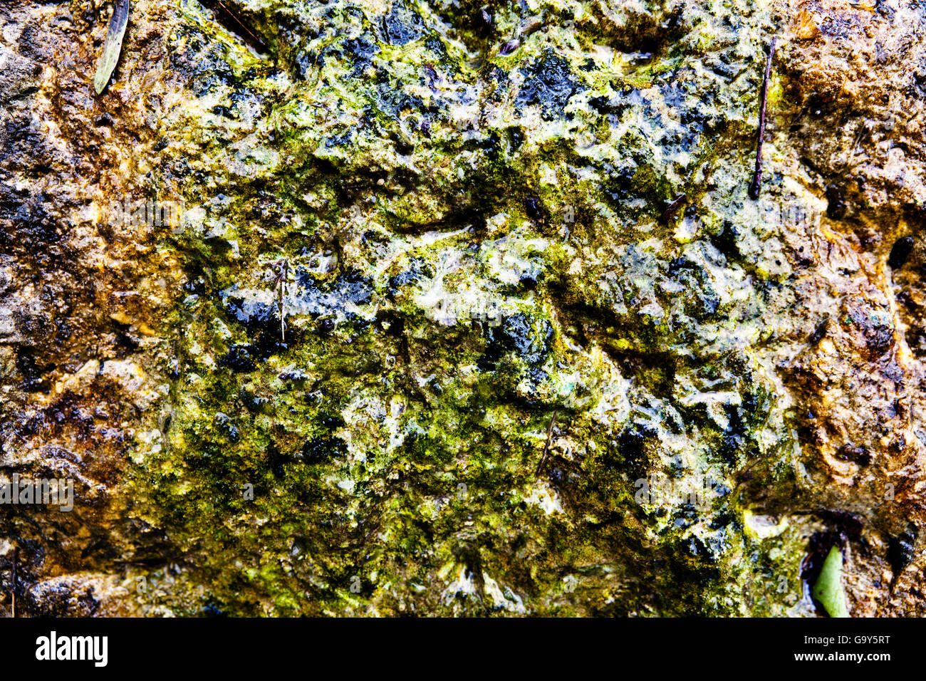 Wet rocks, Hohe Tauern, Steiermark, Oesterreich, Europa Stock Photo