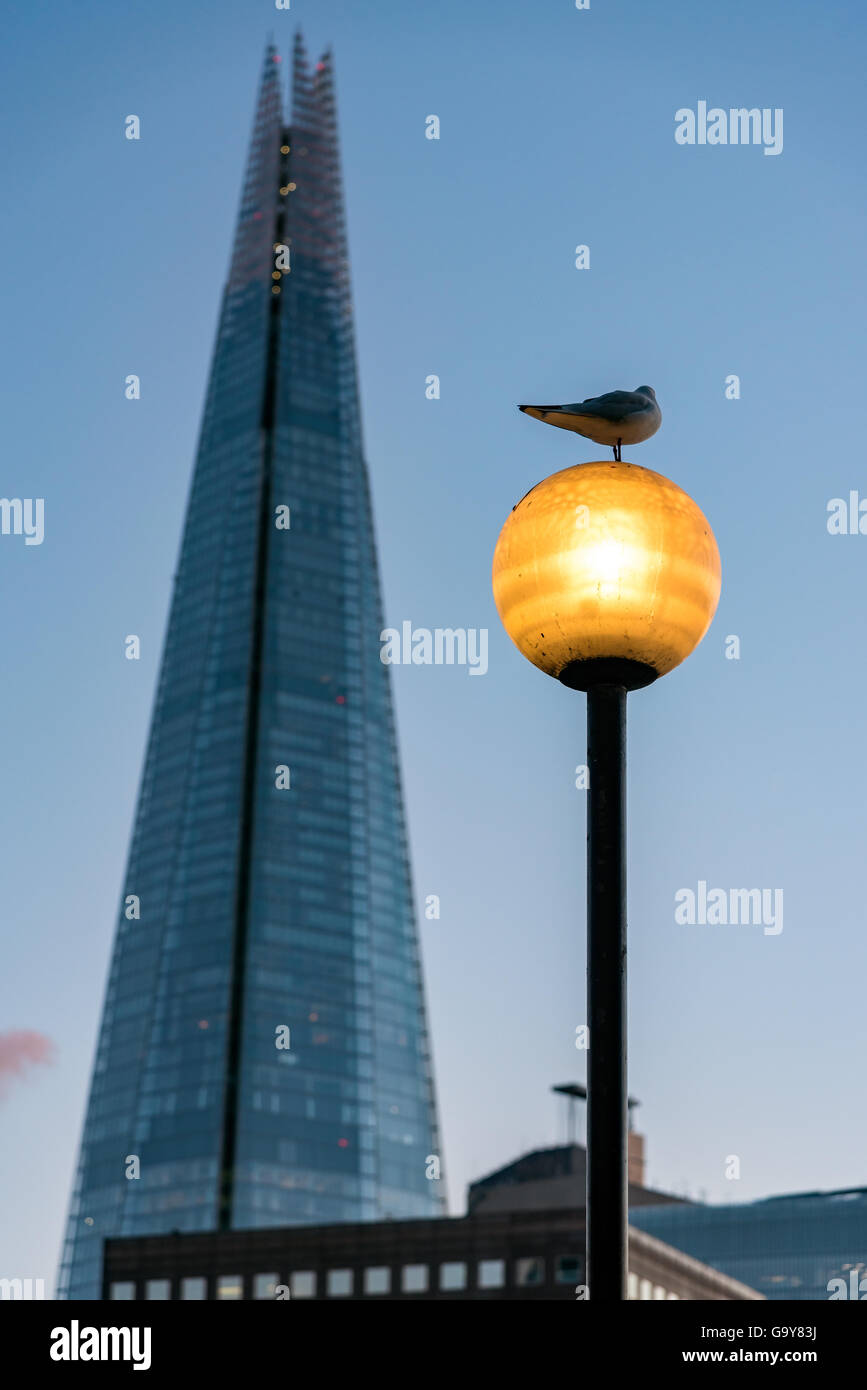 Pigeon sitting on a lamp post facing the Shard of London. Stock Photo