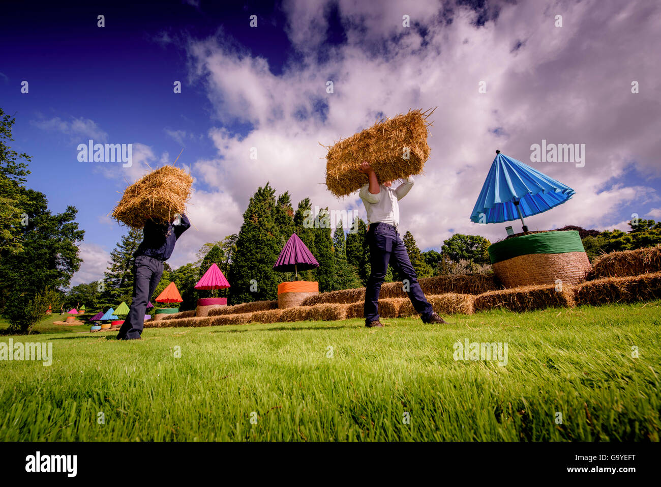 Wakehurst, West Sussex, UK. 2nd July, 2016. Preparations underway for visitors to Wakehurst's Wild Food Festival take part in a Guinness World Records™ attempt for the longest straw-bale picnic table. Iain Parkinson and George Morris put the final hay bales in place. Credit:  Jim Holden/Alamy Live News Stock Photo