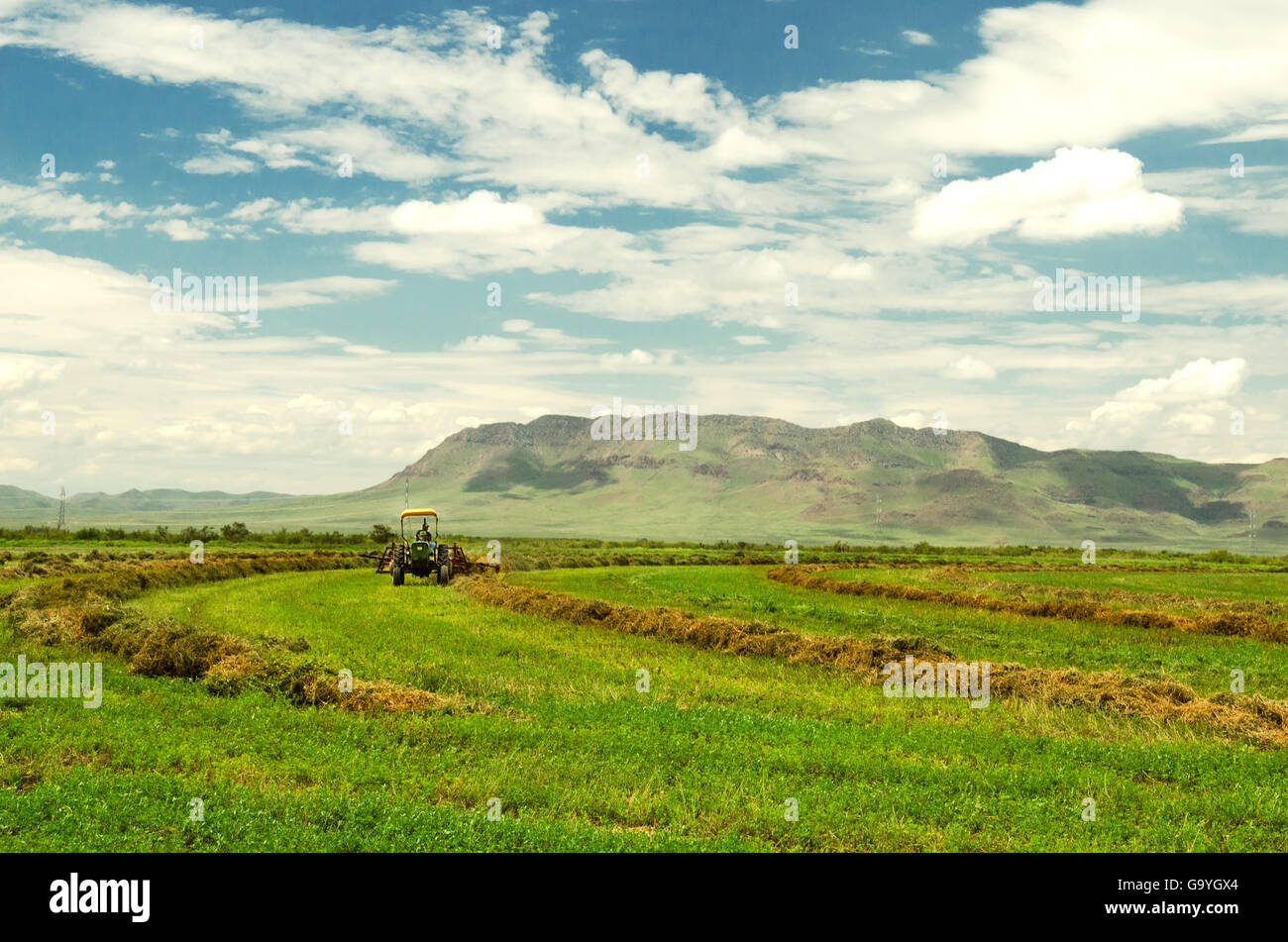 worker driving tractor at crop field in Chihuahua Mexico Stock Photo ...