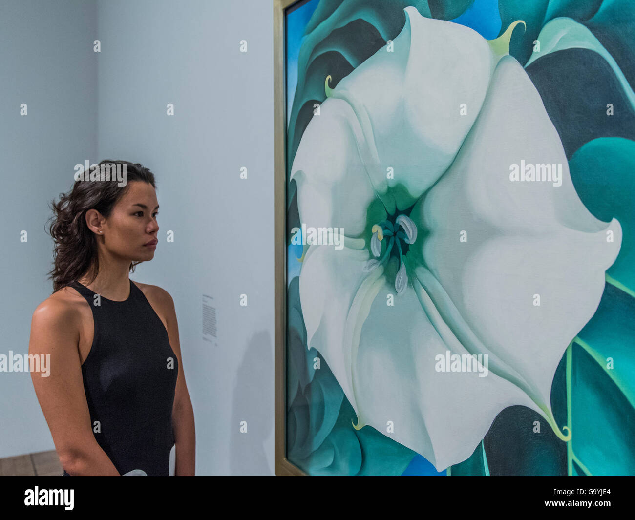 Tate Modern, London, UK. 04th July, 2016. Jimson Weed/White Flower No. 1 1932 - Georgia O’Keeffe a new exhibition at the Tate Modern, London. It runs from 6 July until 30 October 2016. Credit:  Guy Bell/Alamy Live News Stock Photo