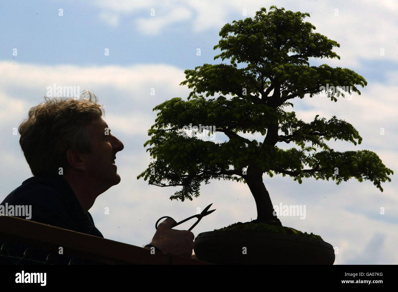 David Massie holds up one of the winning Bonsai trees at the Gardening