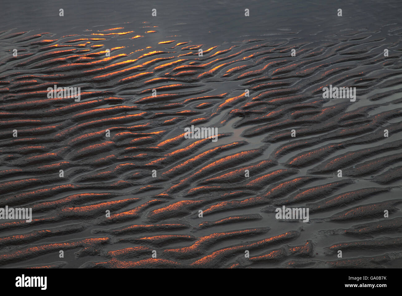 Sand grooves in the mud flats, Cuxhaven, Hamburg Wadden Sea National Park, UNESCO World Heritage Site, Lower Saxony Stock Photo