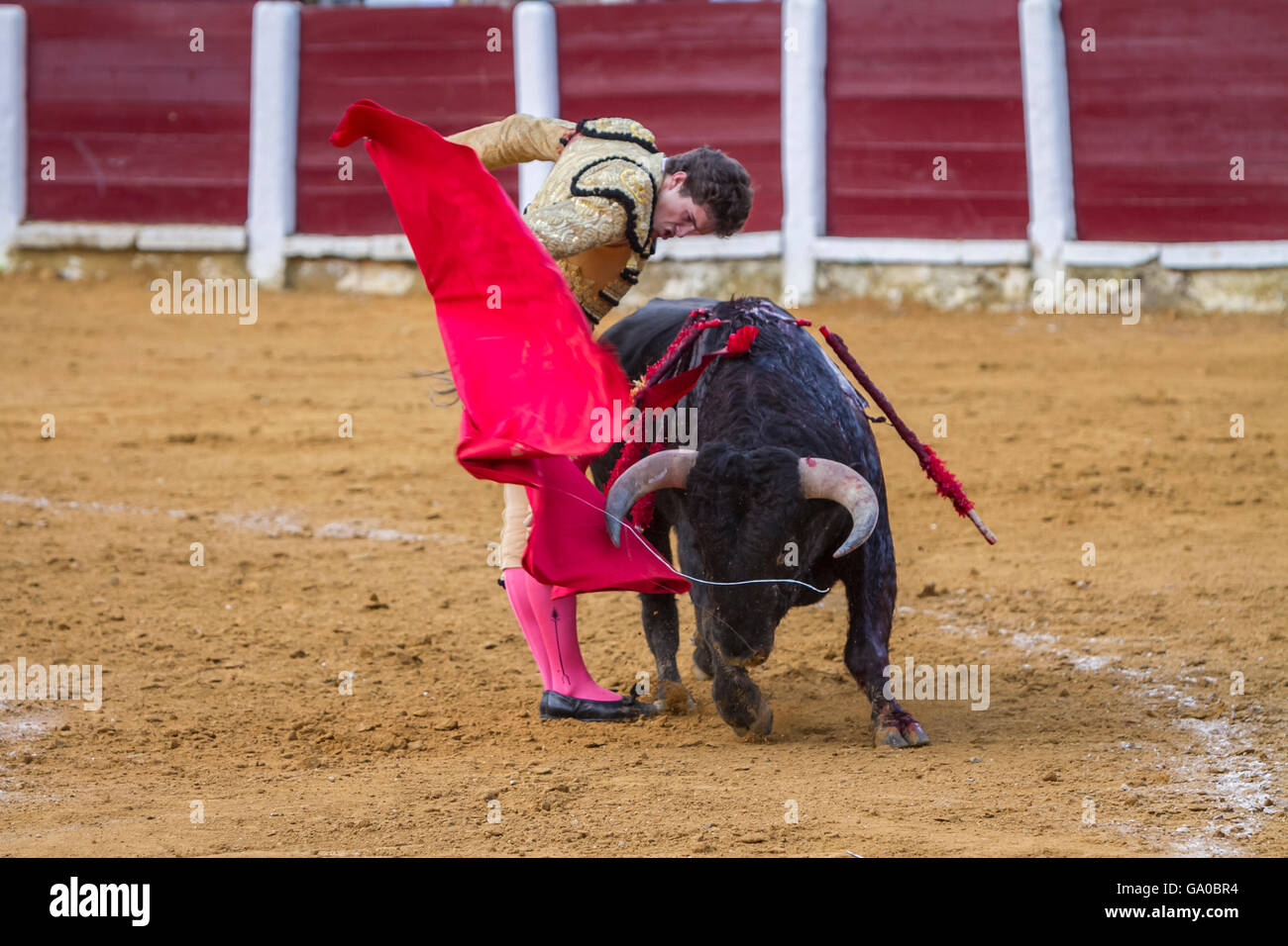 The Spanish Bullfighter Daniel Luque bullfighting with the crutch in the Bullring of Ubeda, Stock Photo