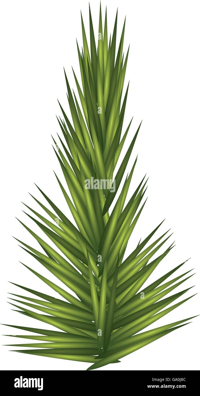 pine tree icon. Merry Christmas design. Vector graphic Stock Vector ...