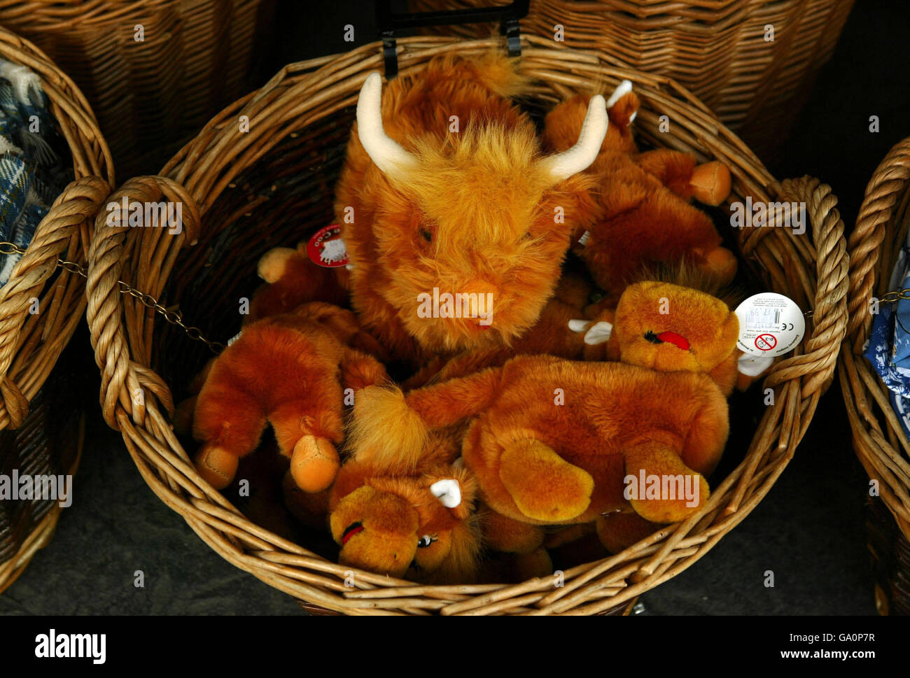 highland cattle soft toy