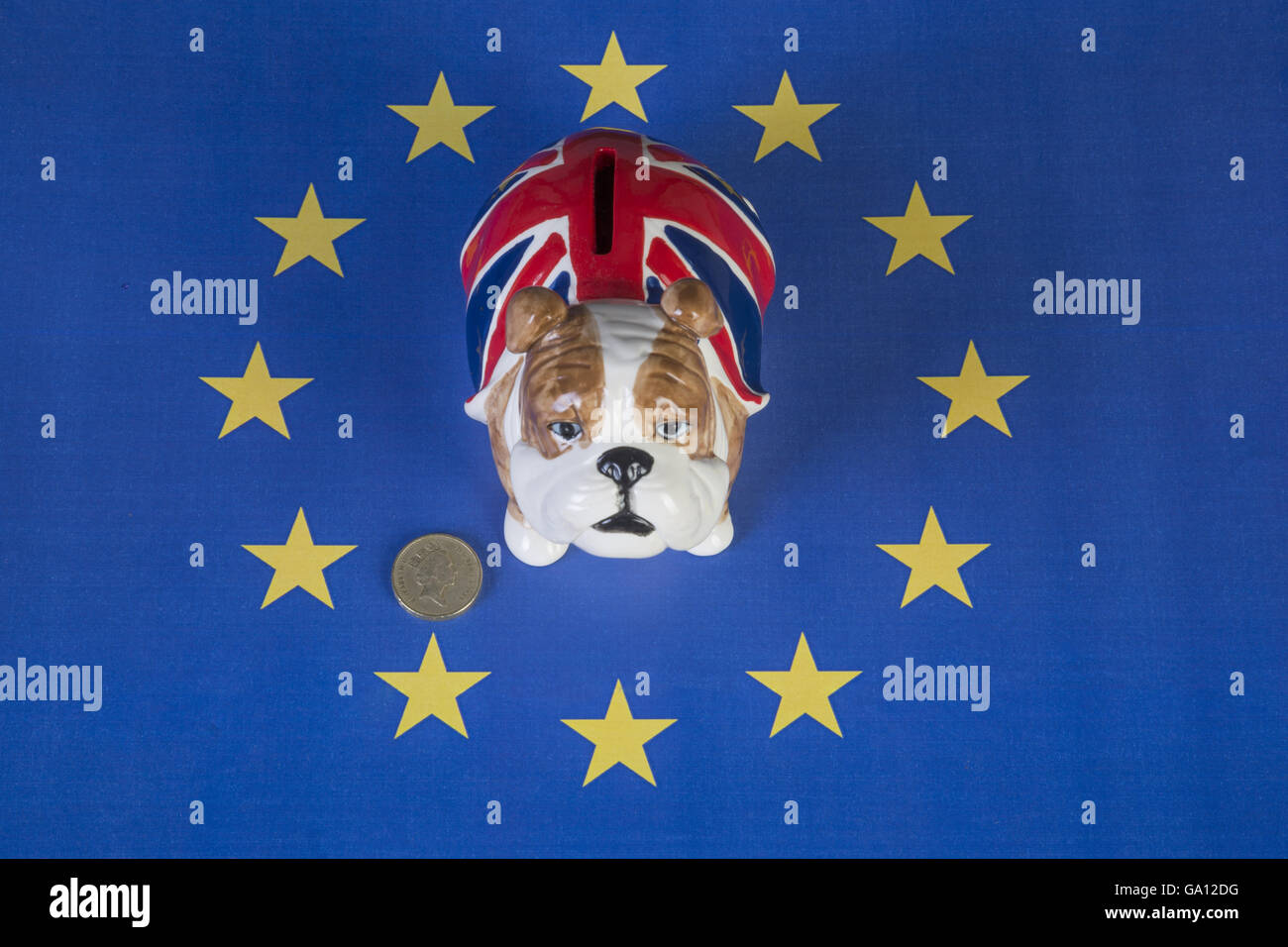 British bulldog piggy bank sat an in an eu flag with a pound coin next to  it Stock Photo - Alamy