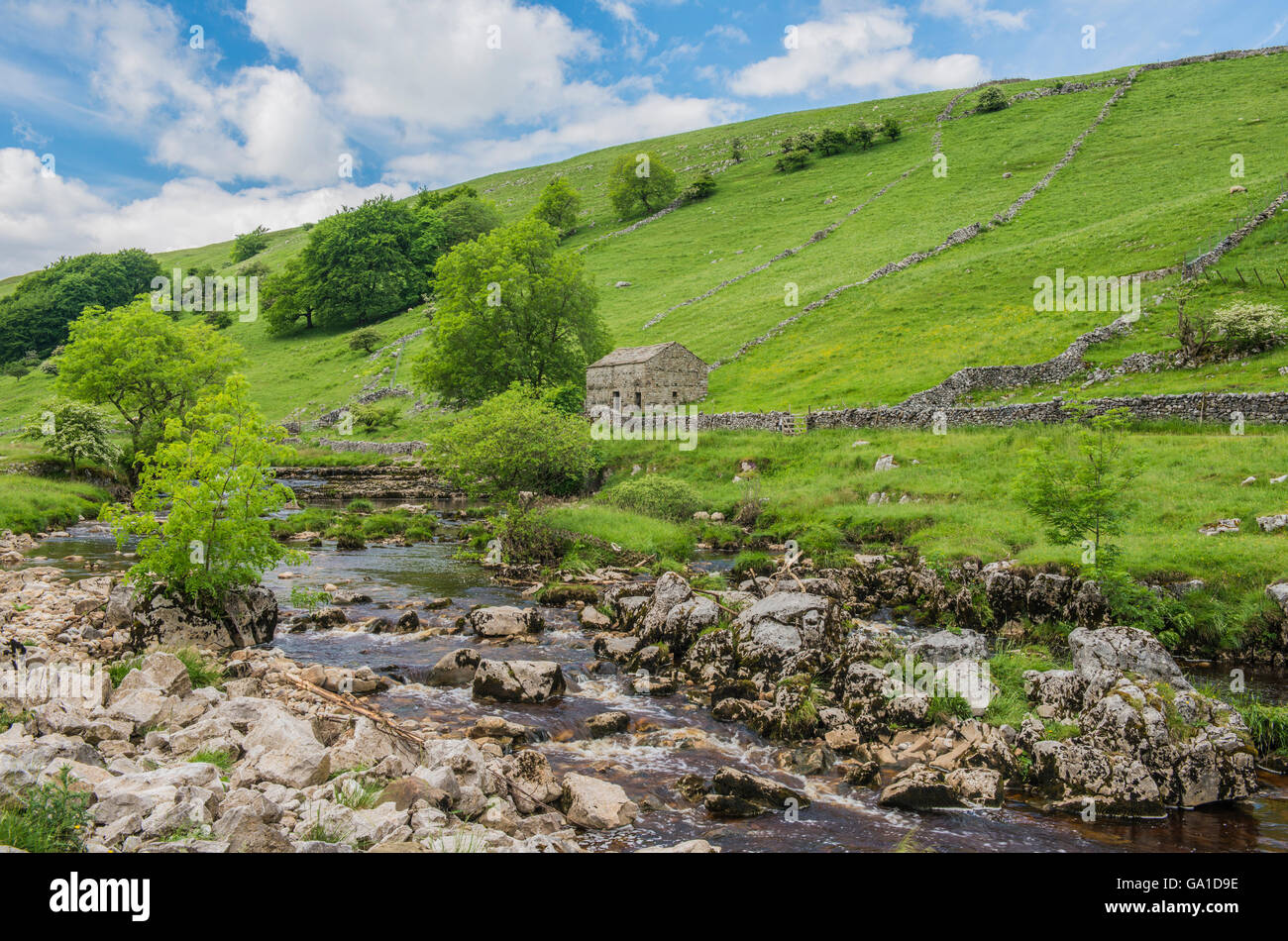Langstrothdale in Upper Wharfedale in the Yorkshire Dales National Park, showing a Dales Barn and the River Wharfe, England Stock Photo