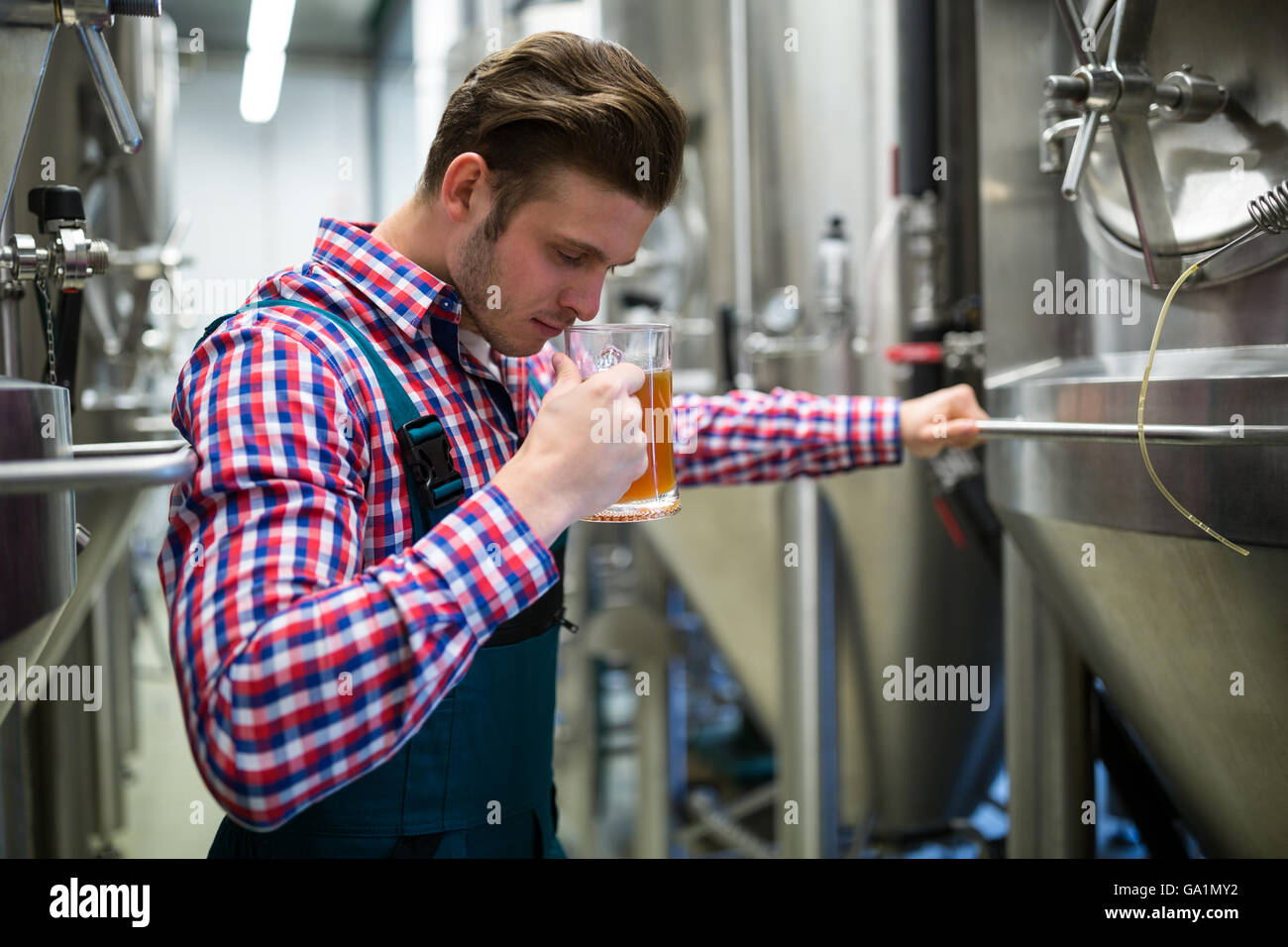 Brewer smelling beer Stock Photo Alamy