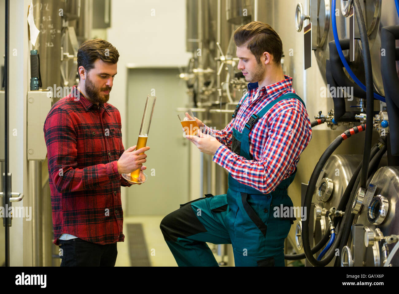 Brewers testing beer Stock Photo Alamy