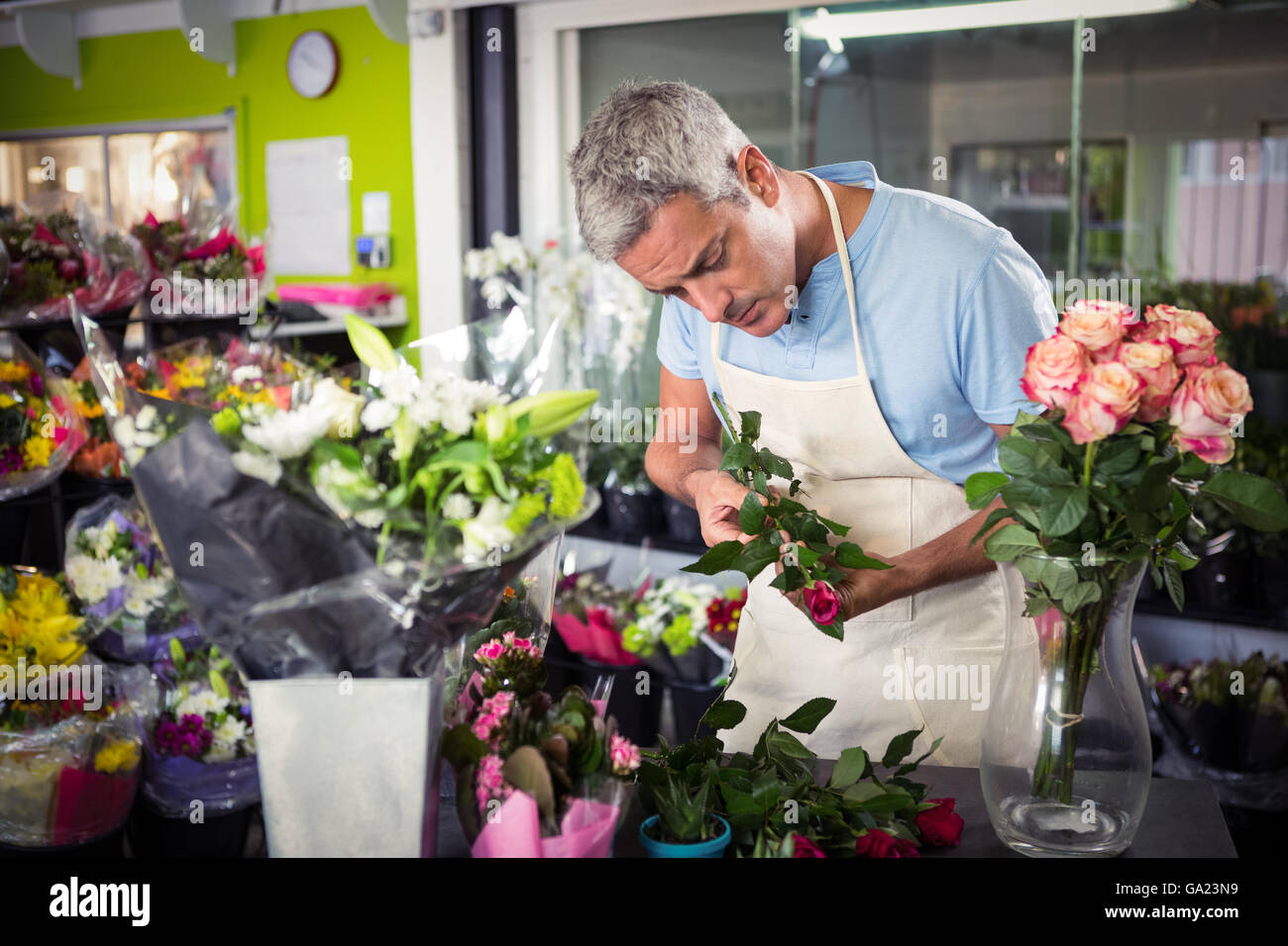 With Male Flowers High Resolution Stock Photography and Images Alamy