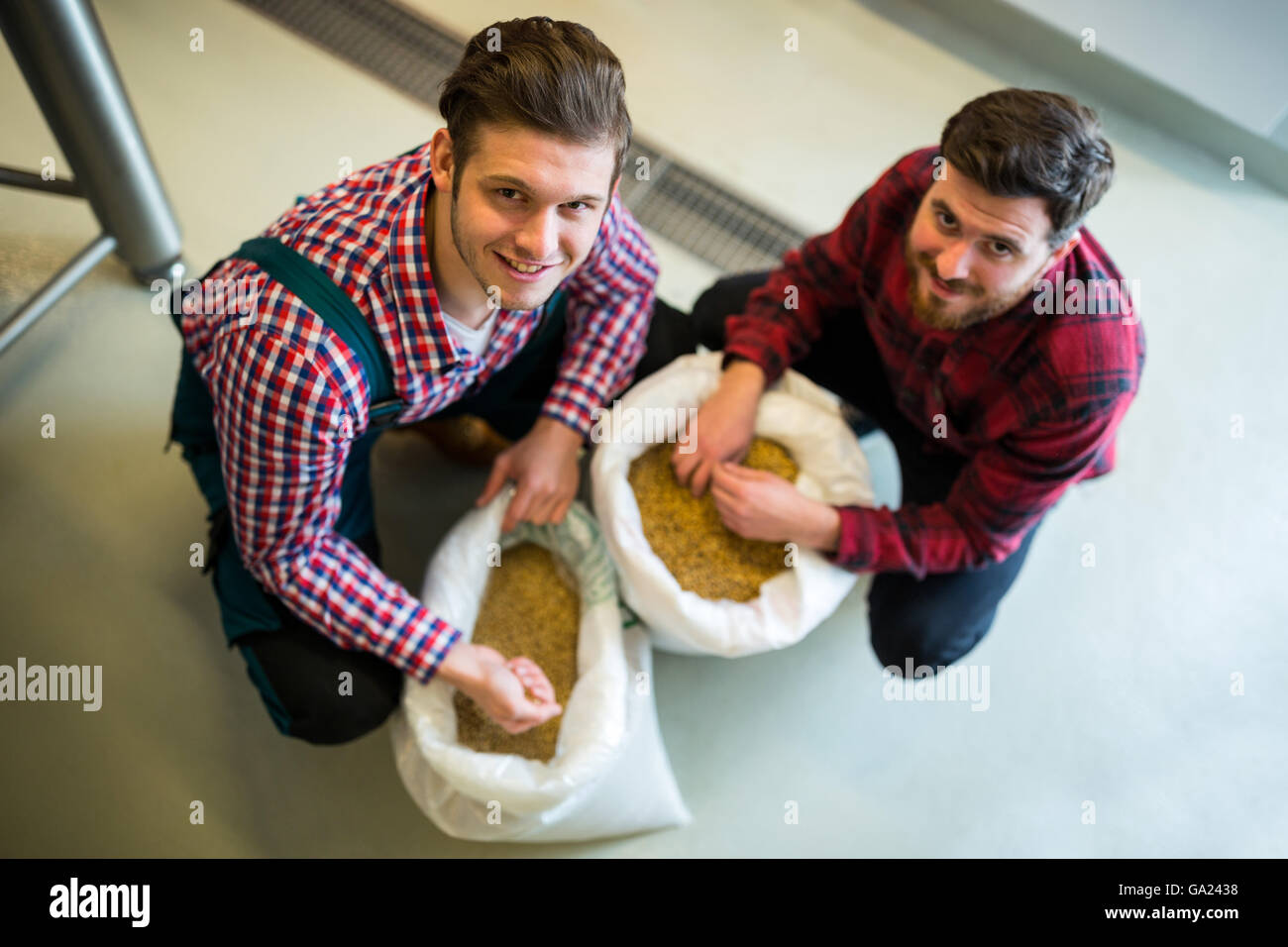 Brewers examining grains Stock Photo Alamy