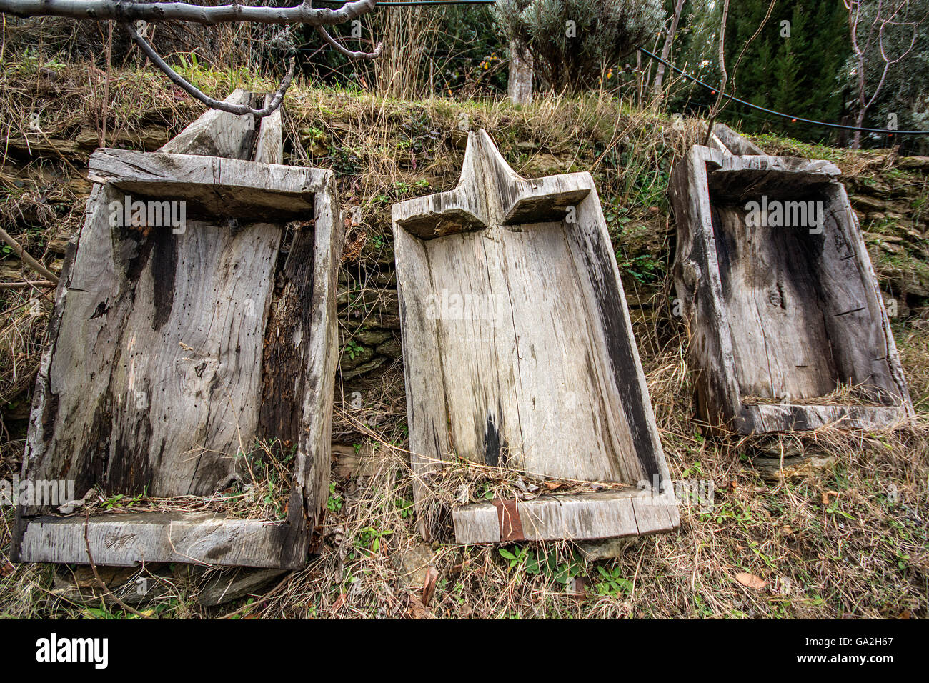 wood grape crusher Stock Photo