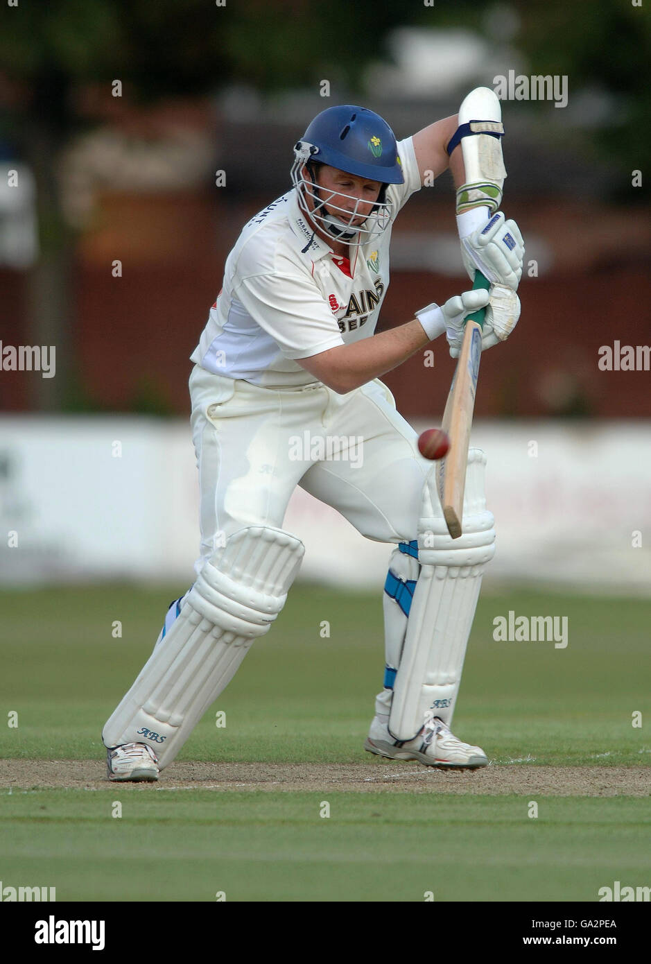 Cricket - Liverpool Victoria County Championship - Division Two - Leicestershire v Glamorgan - Grace Road Stock Photo
