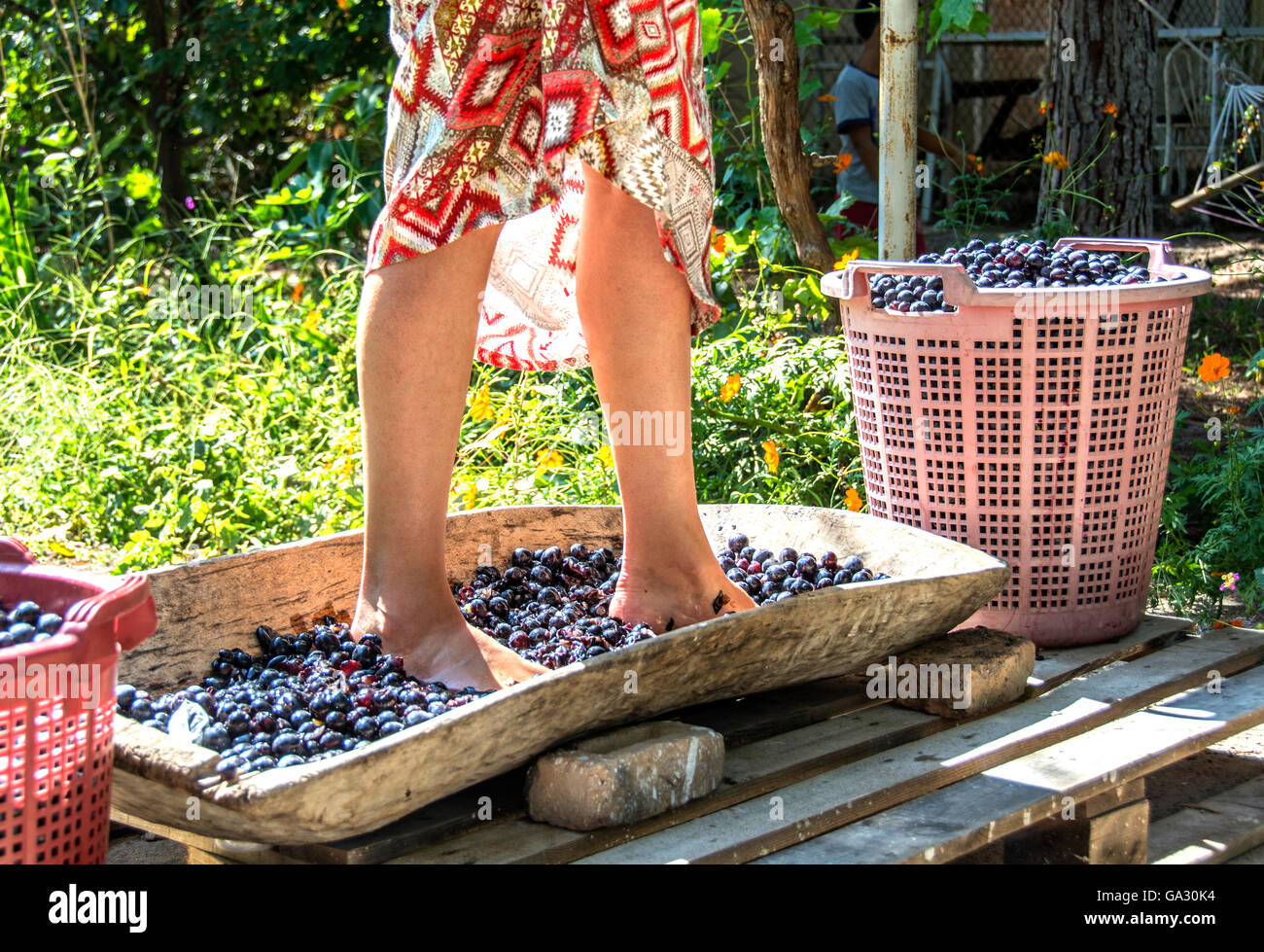 girl crushed grape Stock Photo Alamy