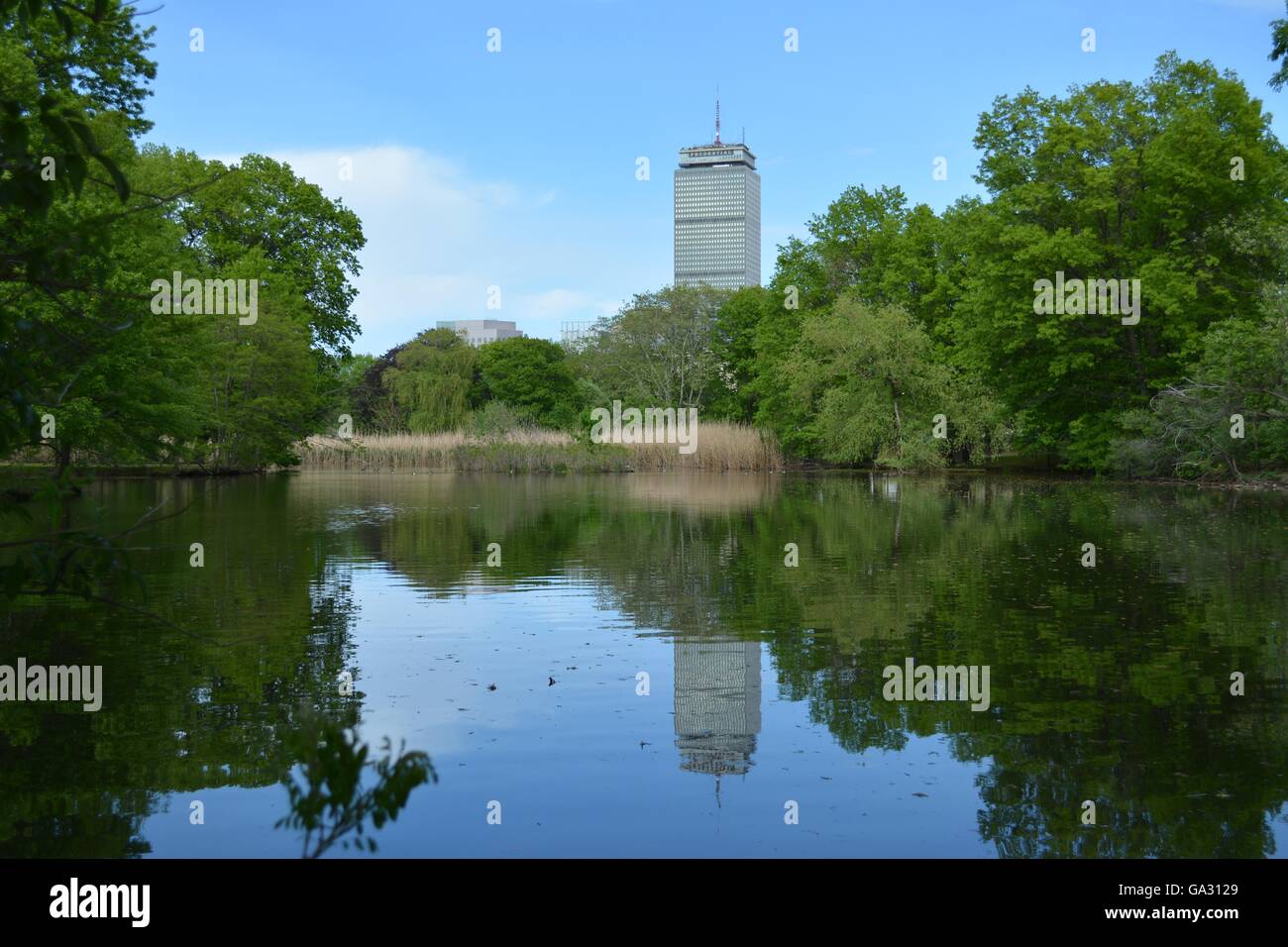 The Fenway Olmsted Park, Muddy River, and Victory Gardens in Boston's