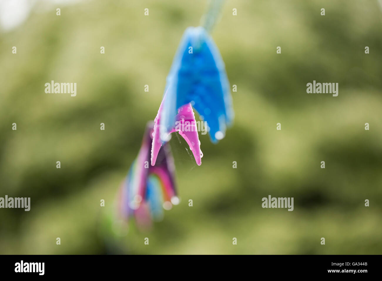 Colourful clothes peg on a washing line with rain droplets & beautiful bokeh. Stock Photo