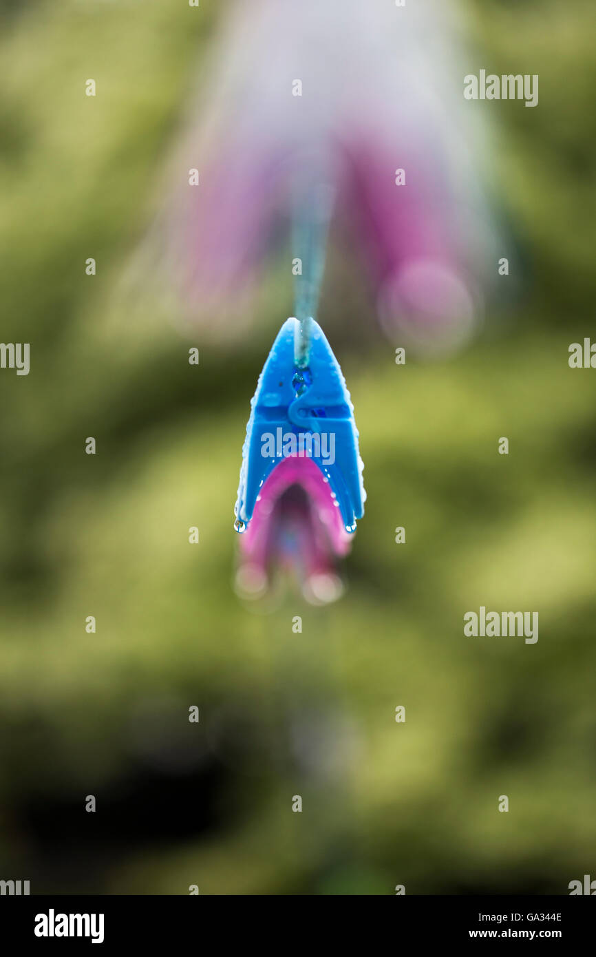 Colourful clothes peg on a washing line with rain droplets & beautiful bokeh. Stock Photo