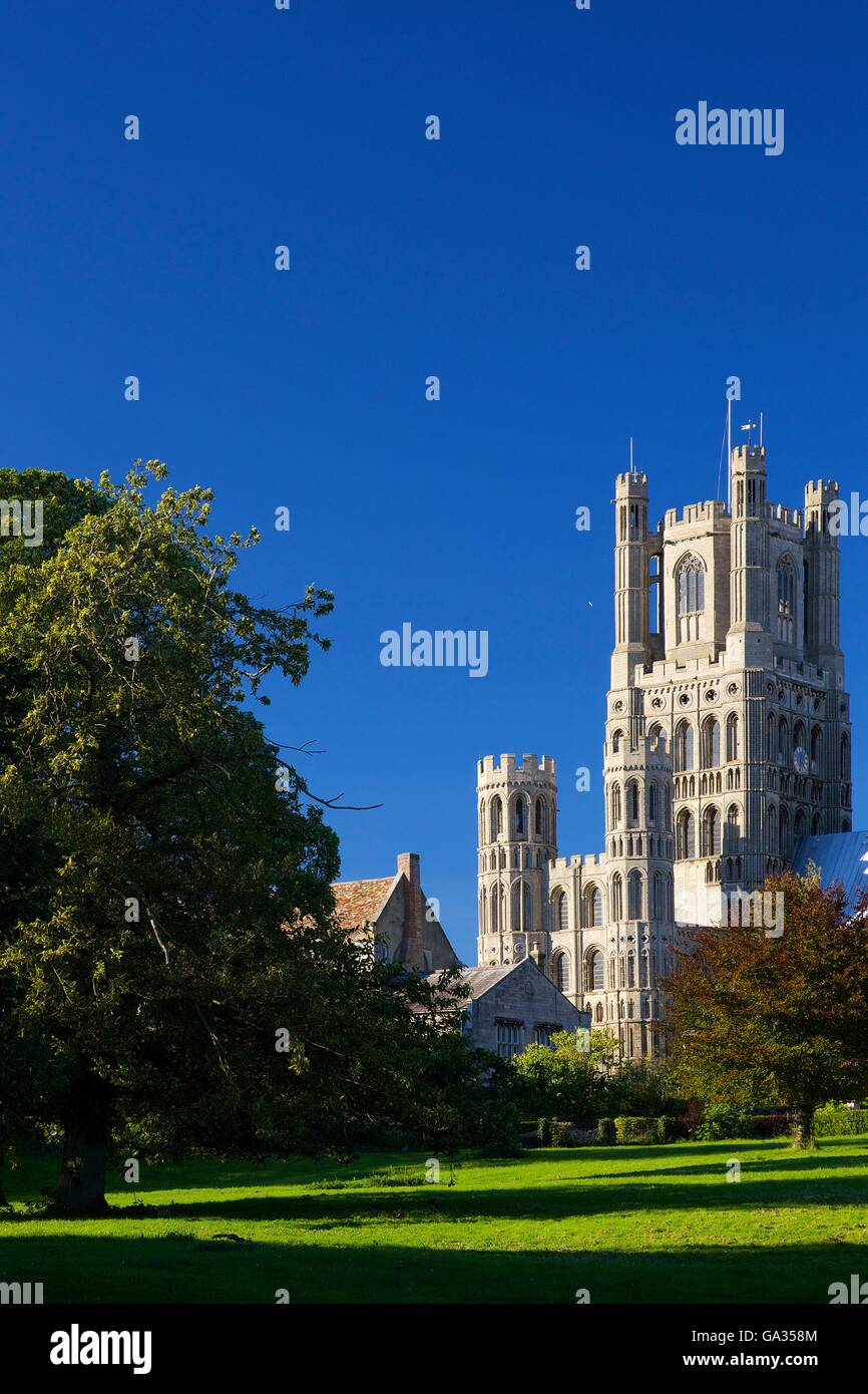 Ely Cathedral in late afternoon sunshine, Church of the Holy and Undivided Trinity, Cambridgeshire England GB UK Stock Photo