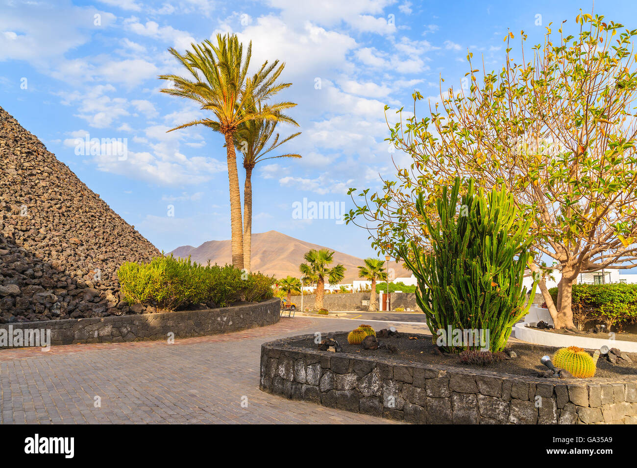 Tropical plants on square in Playa Blanca holiday resort town ...