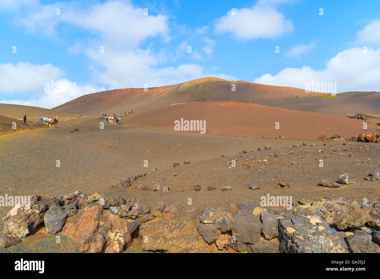 Volcano landscape of Timanfaya National Park with caravans of camels in distance, Lanzarote, Canary Islands, Spain Stock Photo