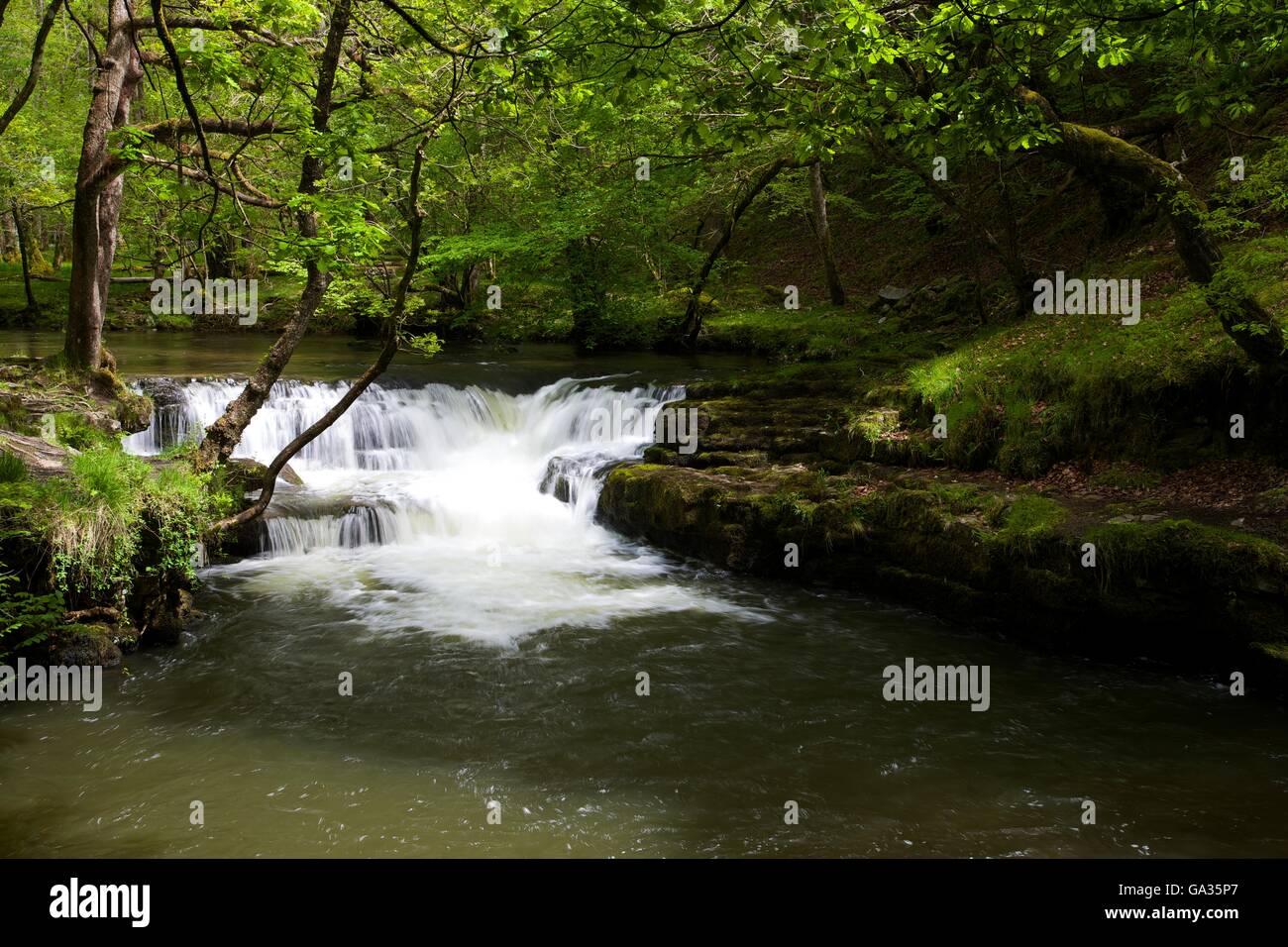 Waterfall on Afon Nedd Fechan, near Ystradfellte, Brecon Beacons, National Park, Wales, UK, GB, Europe Stock Photo