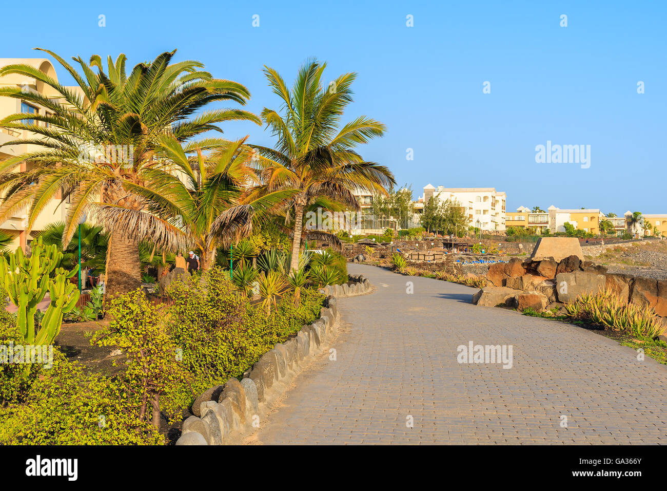 Palm Trees And Hotel Buildings Along Coastal Promenade In Playa Blanca