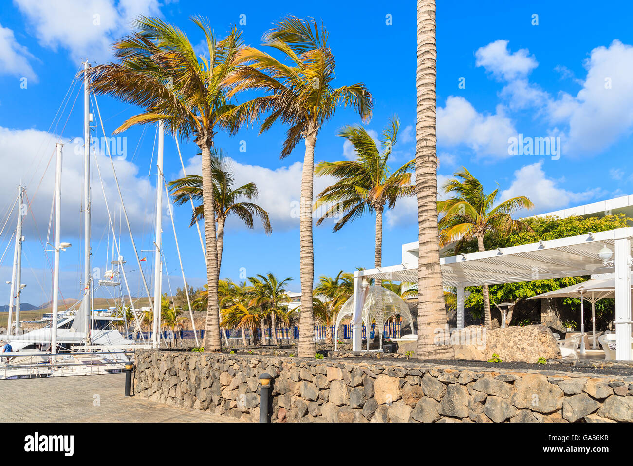 Palm trees in Caribbean style port for yacht boats, Puerto Calero, Lanzarote island, Spain Stock Photo