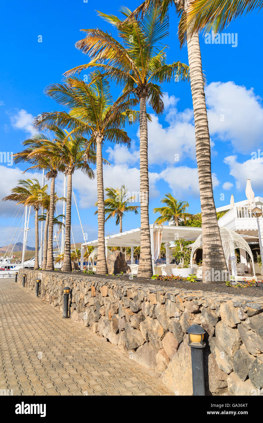 Palm trees in Caribbean style port for yacht boats, Puerto Calero, Lanzarote island, Spain Stock Photo