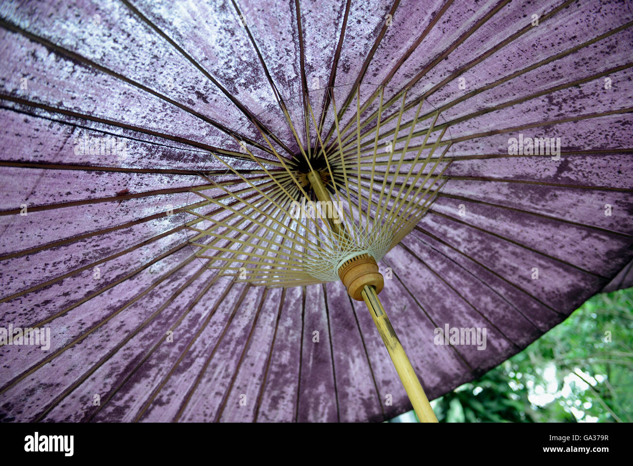 umbrellas in a restaurant in the village of  Pai in the north provinz of Mae Hong Son in the north of Thailand in Southeastasia. Stock Photo