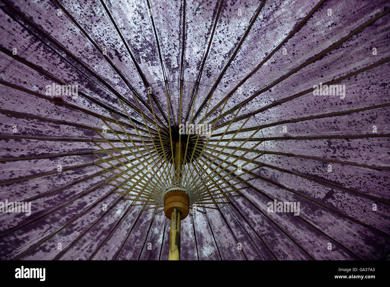 umbrellas in a restaurant in the village of  Pai in the north provinz of Mae Hong Son in the north of Thailand in Southeastasia. Stock Photo