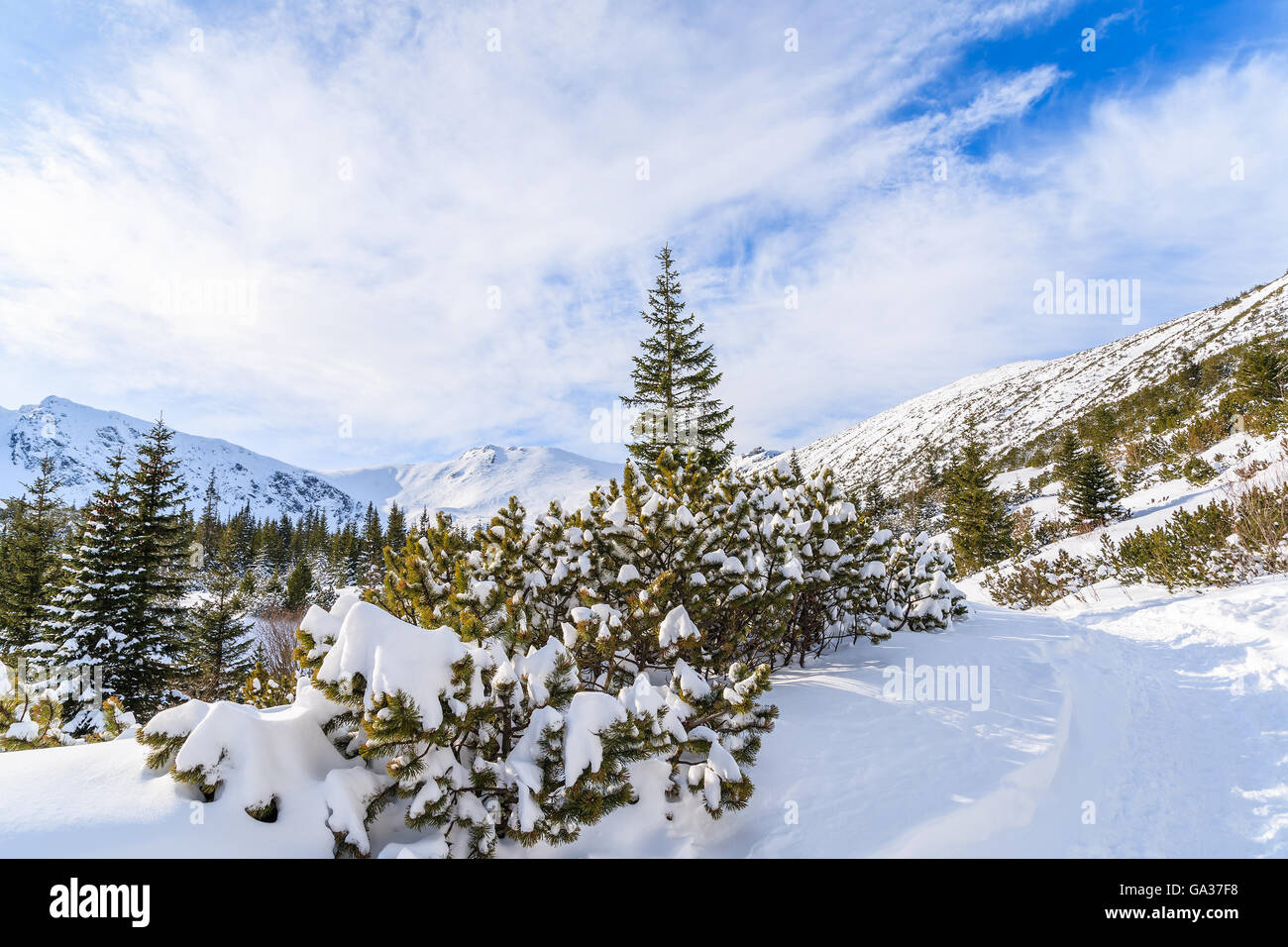 Beautiful winter landscape in Gasienicowa valley in Tatra Mountains, Poland Stock Photo