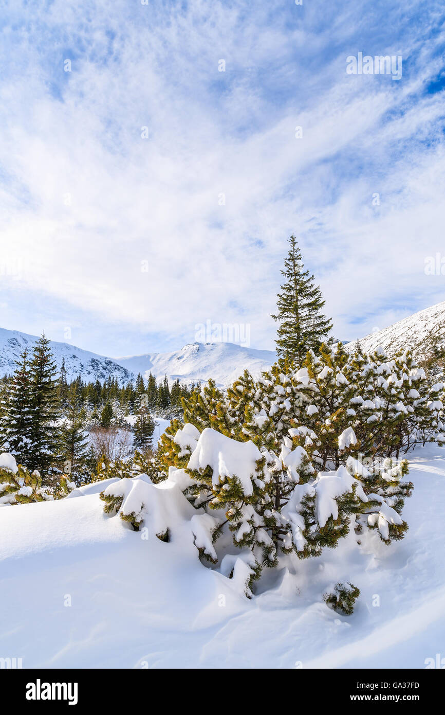 Beautiful winter landscape in Gasienicowa valley in Tatra Mountains, Poland Stock Photo