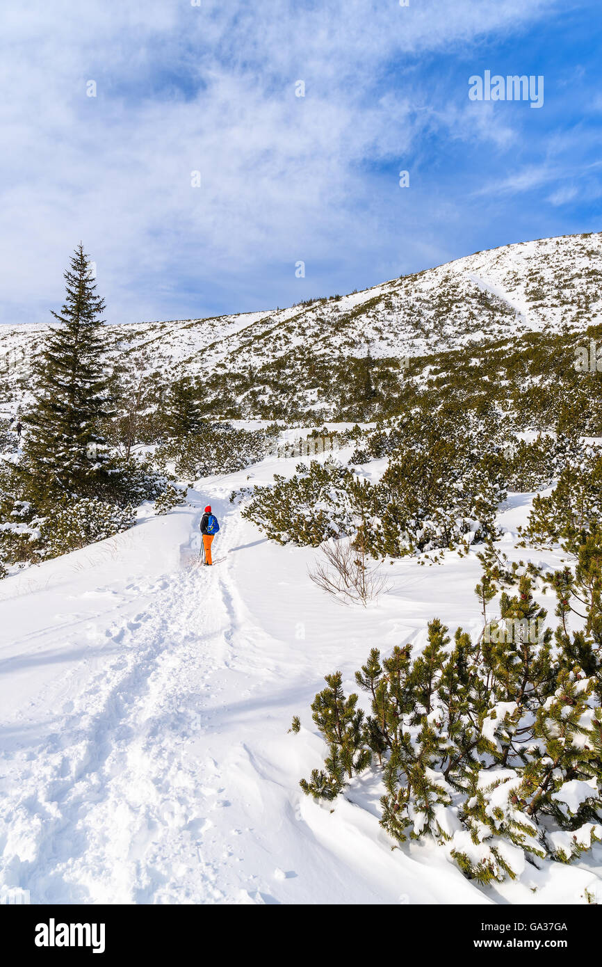 Young woman backpacker tourist on hiking trail in winter landscape of Gasienicowa valley, Tatra Mountains, Poland Stock Photo