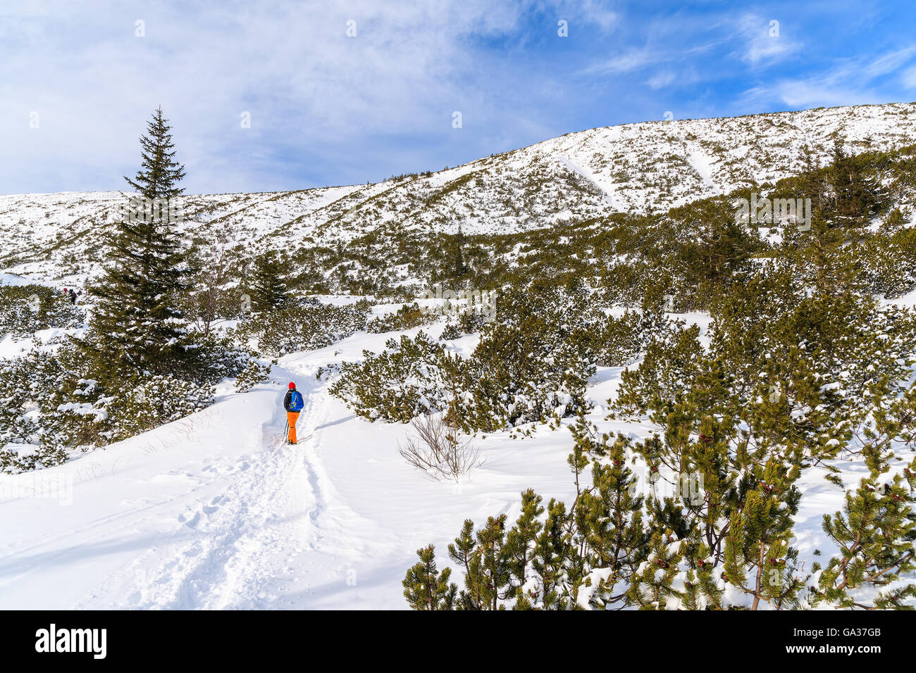 Young woman backpacker tourist walking on hiking trail in winter landscape of Gasienicowa valley, Tatra Mountains, Poland Stock Photo