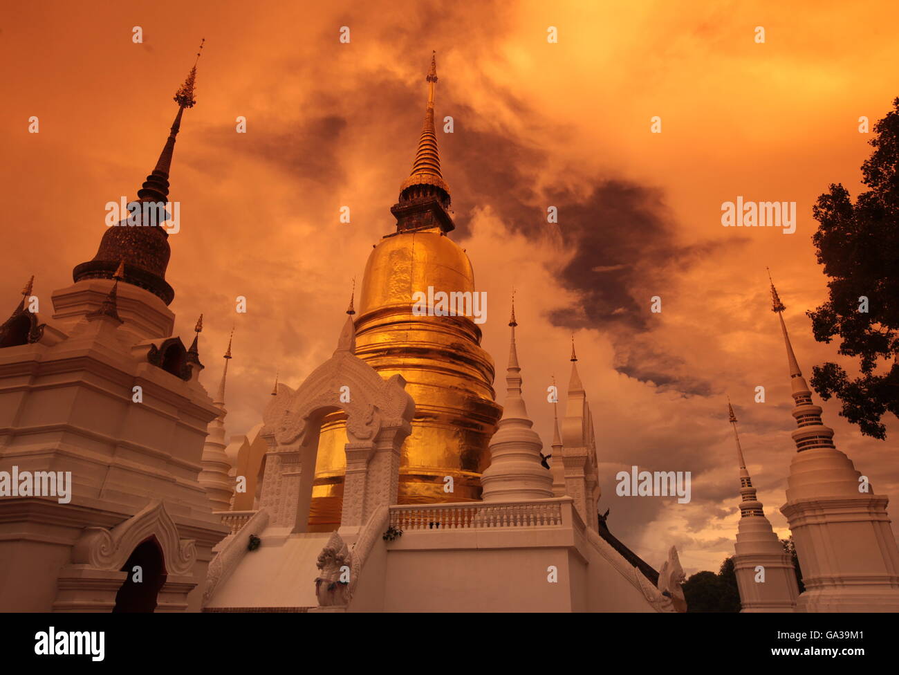 the Wat Suan Dok Tempel in the city of chiang mai in the north of Thailand in Southeastasia. Stock Photo