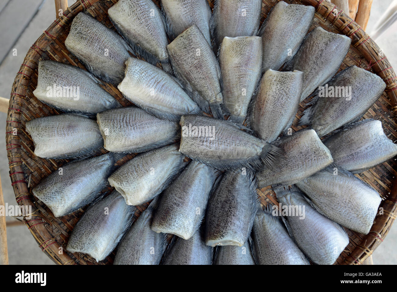 fish on a Market in Banglamphu in the city of Bangkok in Thailand in Southeastasia. Stock Photo
