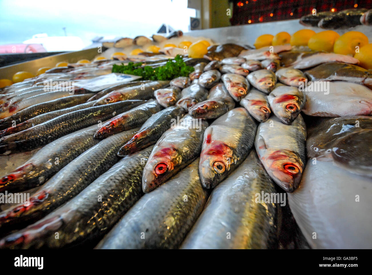 The fishing fleet at Hastings Stock Photo Alamy
