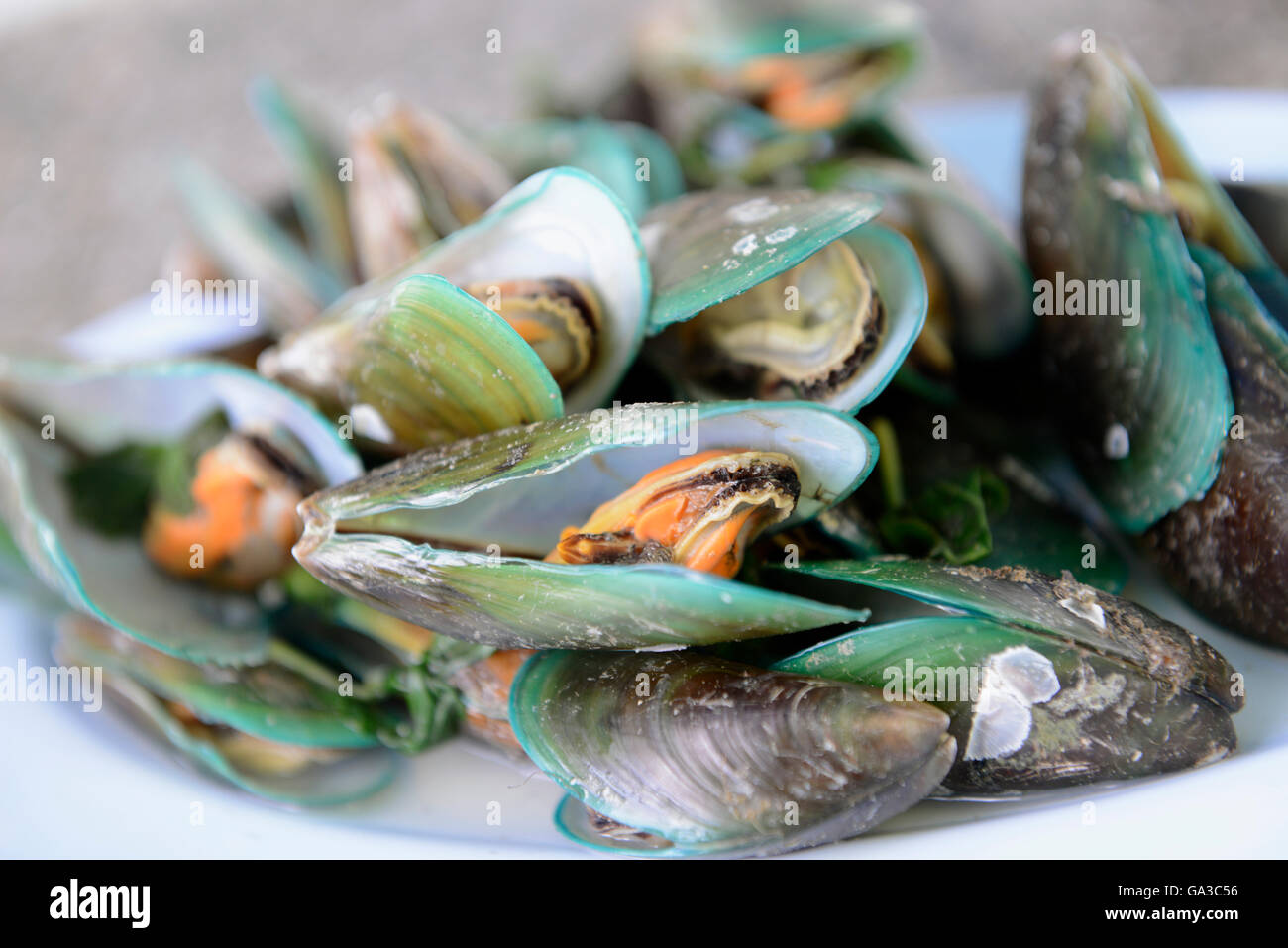 fresh shells and seafood in a Beach restaurant on the Rawai Beach on ...