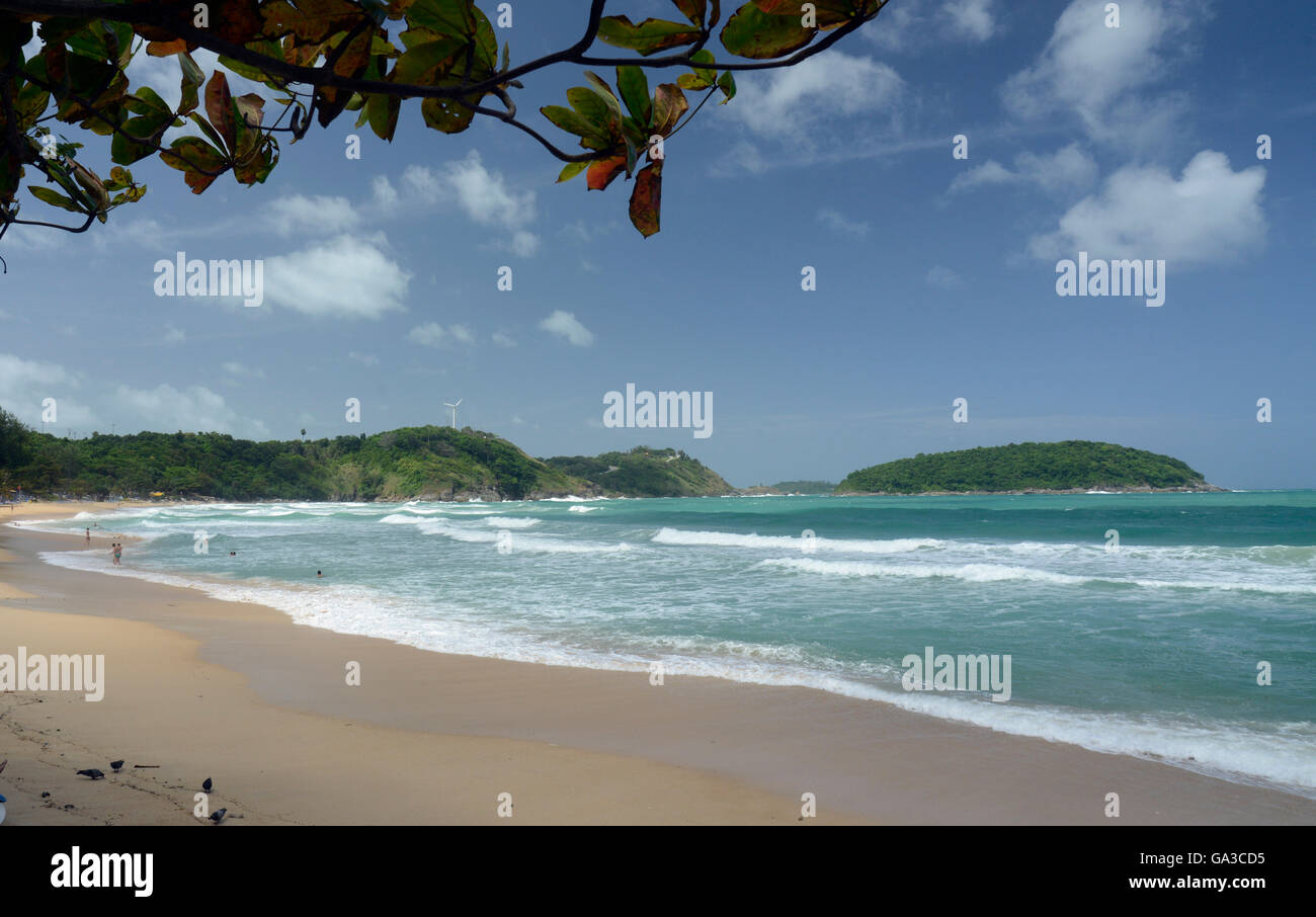 the Hat Kata Yai Beach near Rawai in the south on the Phuket Island in the  south of Thailand in Southeastasia Stock Photo - Alamy