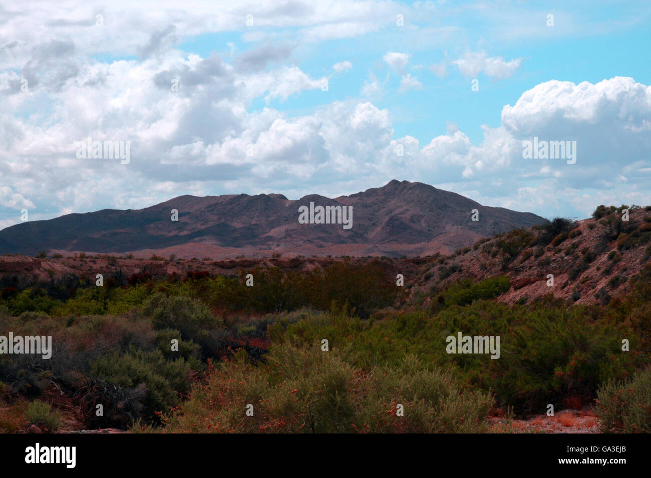 Highway of death desert storm hi-res stock photography and images - Alamy