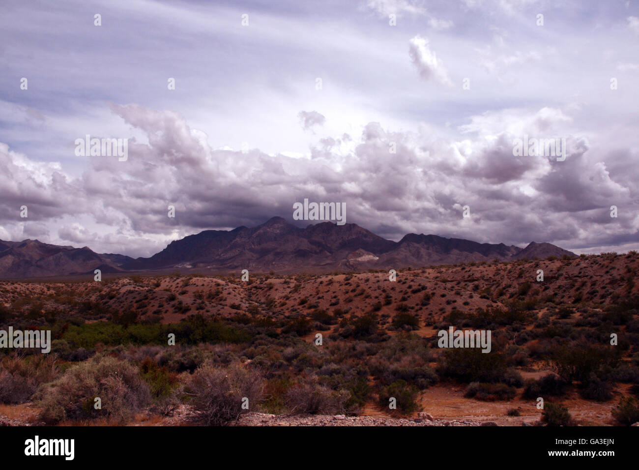 Highway of death desert storm hi-res stock photography and images - Alamy