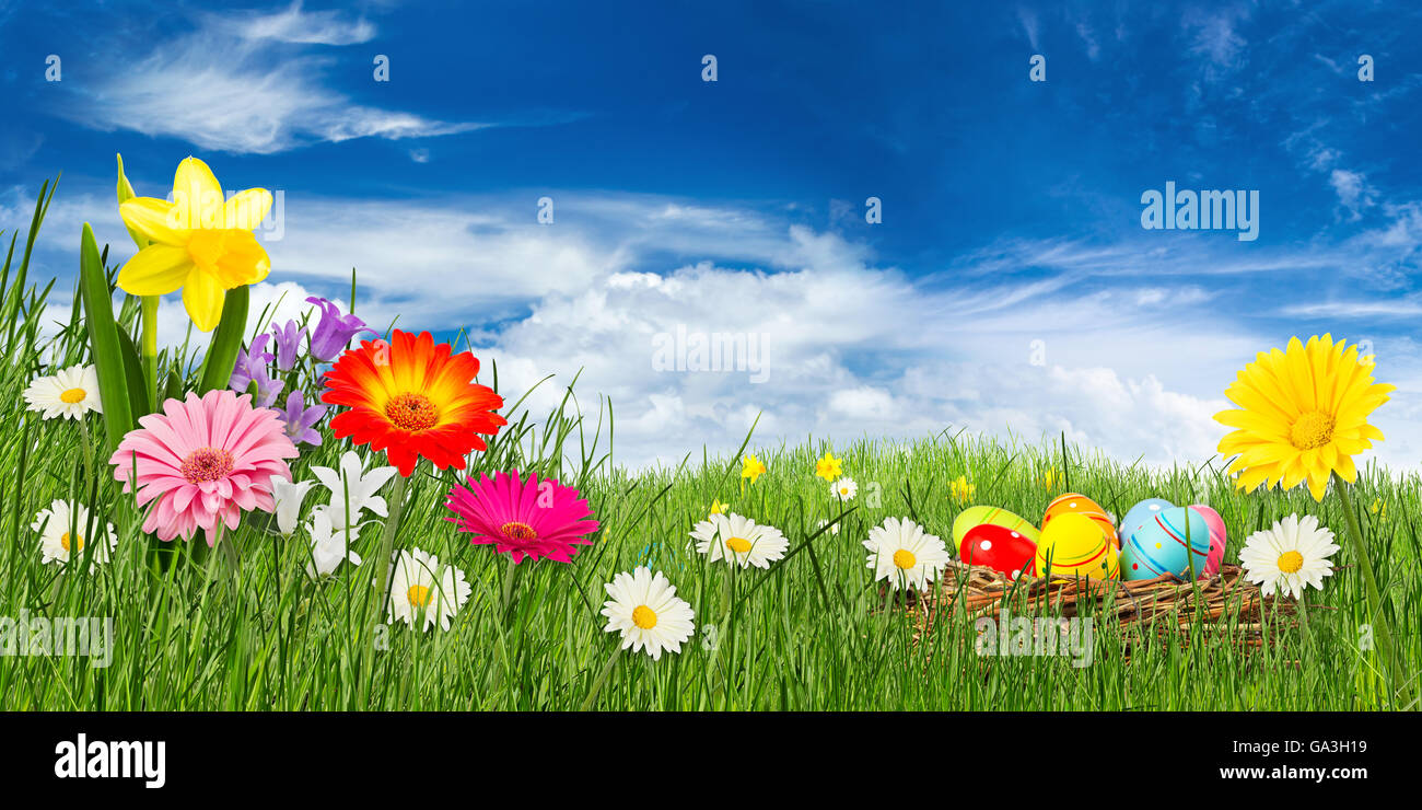 colorful easter meadow in front of blue sky Stock Photo